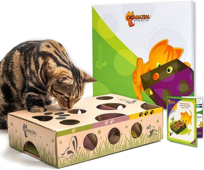 Cat playing with its favorite toy.