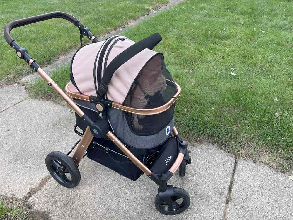 HPZ Pet Rover