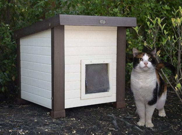 New Age Pet ECOFLEX