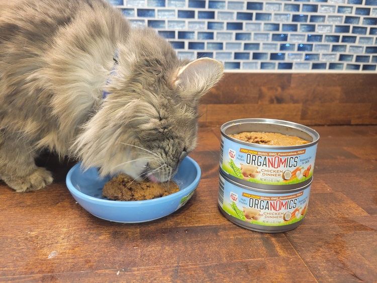 OrgaNOMics-Chicken-Dinner-Grain-Free-Pate-Wet-Cat-Food