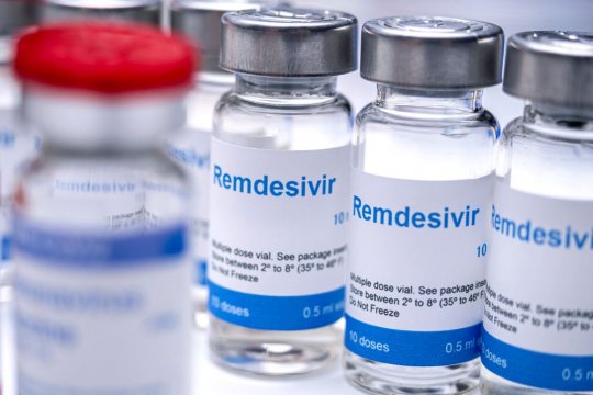 Remdesivir for Cats: Overview, Dosage & Side Effects