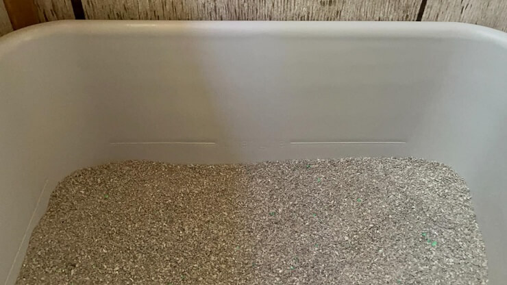 smartcat litter box