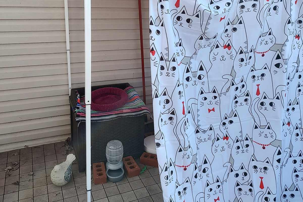 Tommy cat house